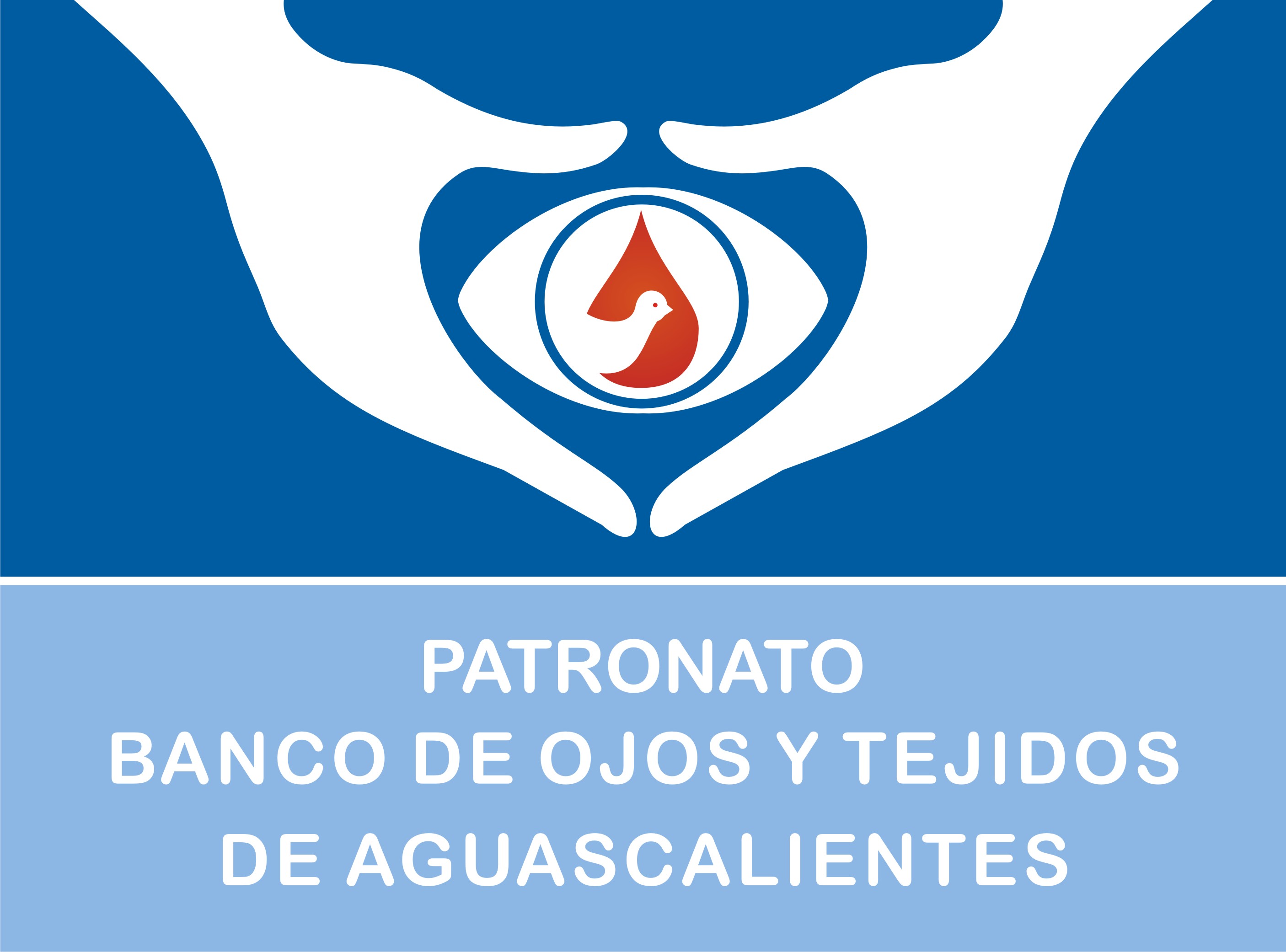 Imagen del proyecto